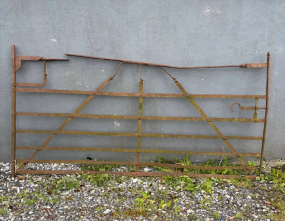 Old Gates and Railings and cement mixer - Image 2