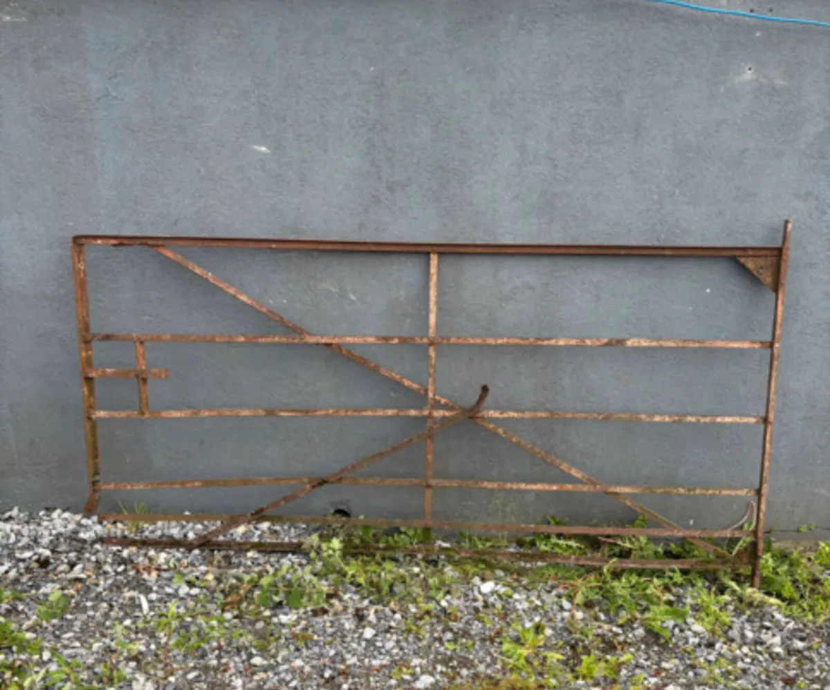 Old Gates and Railings and cement mixer - Image 4