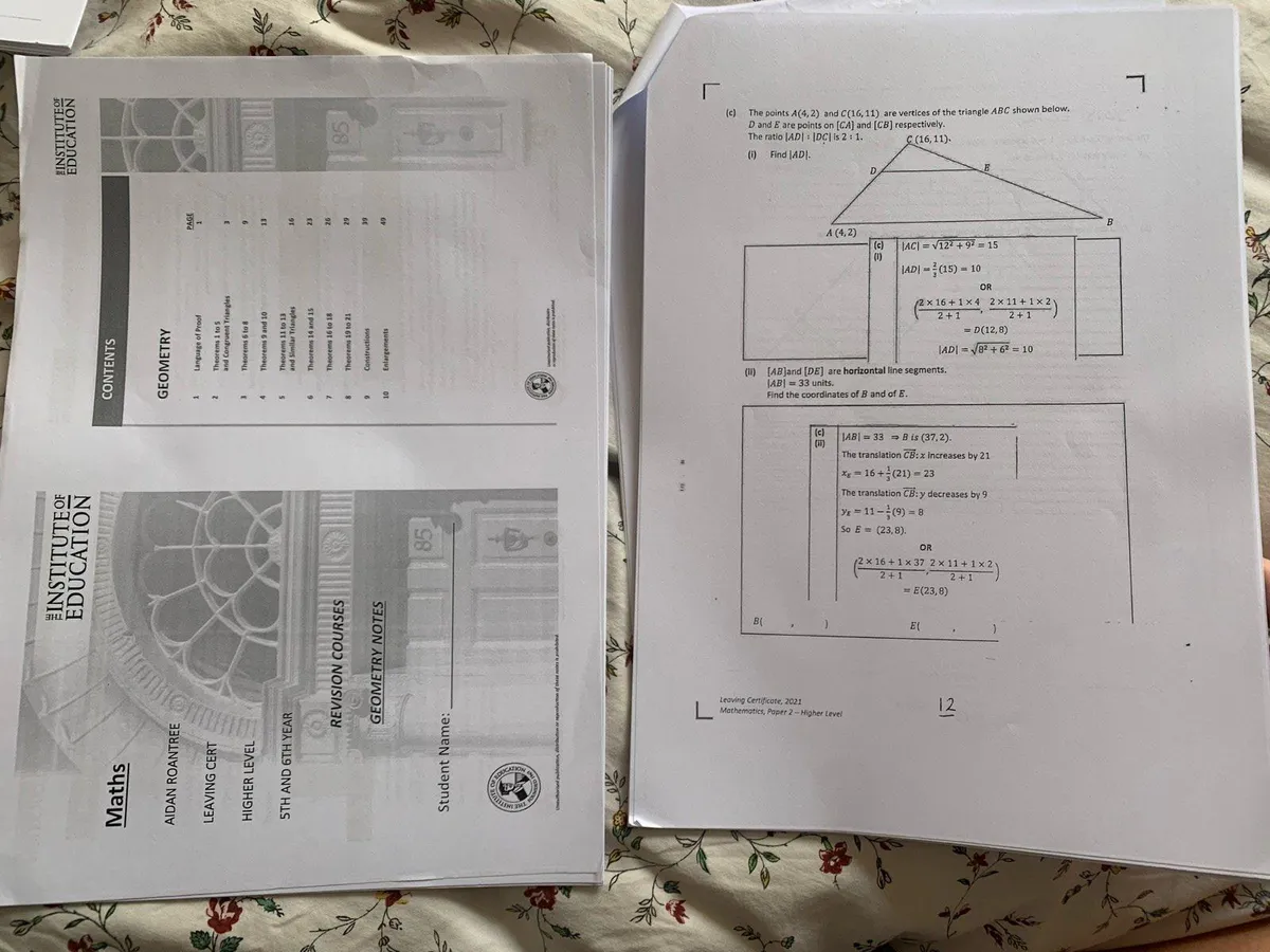 Institute maths notes leaving cert
