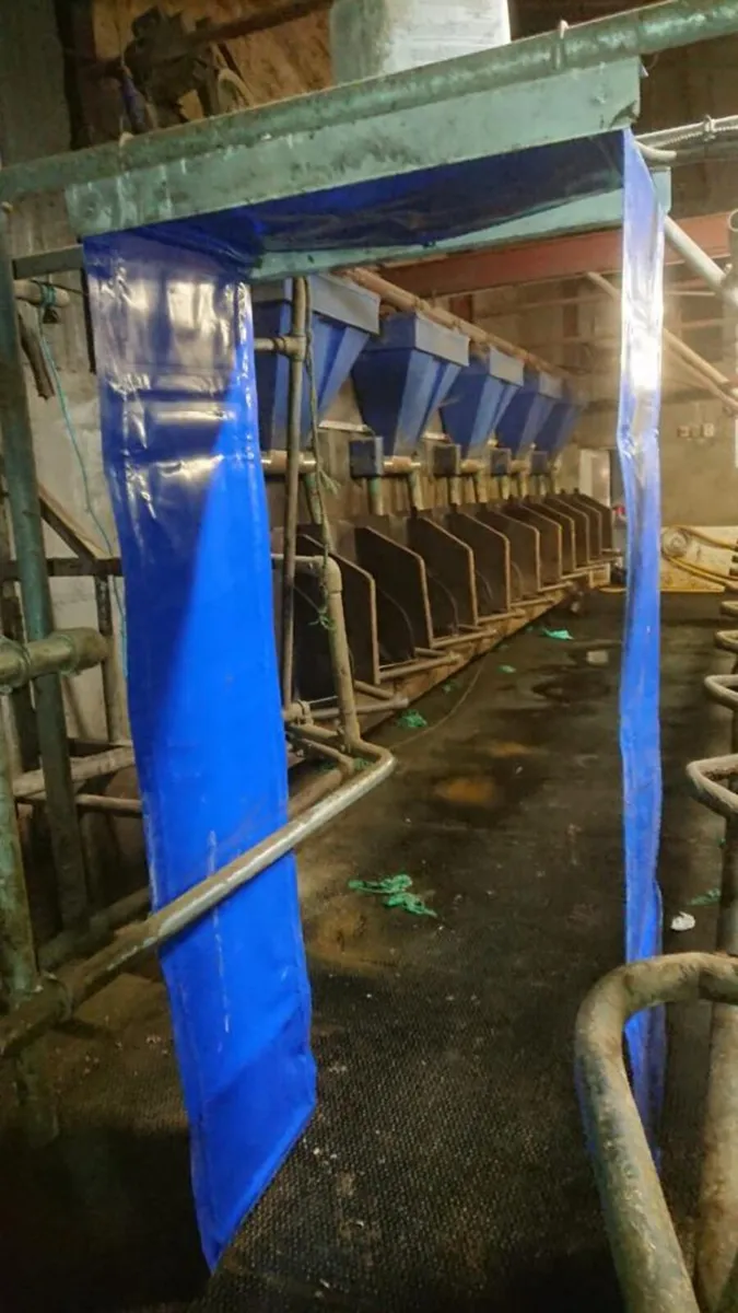 New Delaval Cow ID Curtains - Image 2