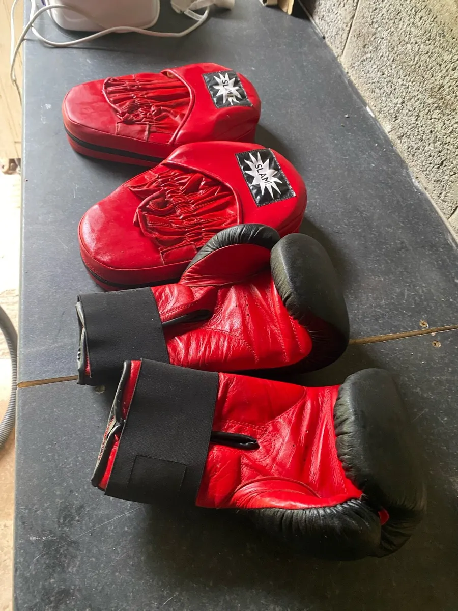 Boxing gloves and pads - Image 1