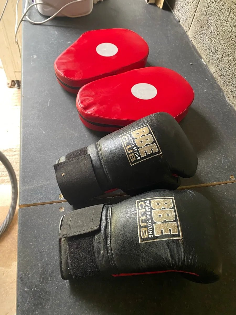 Boxing gloves and pads - Image 2