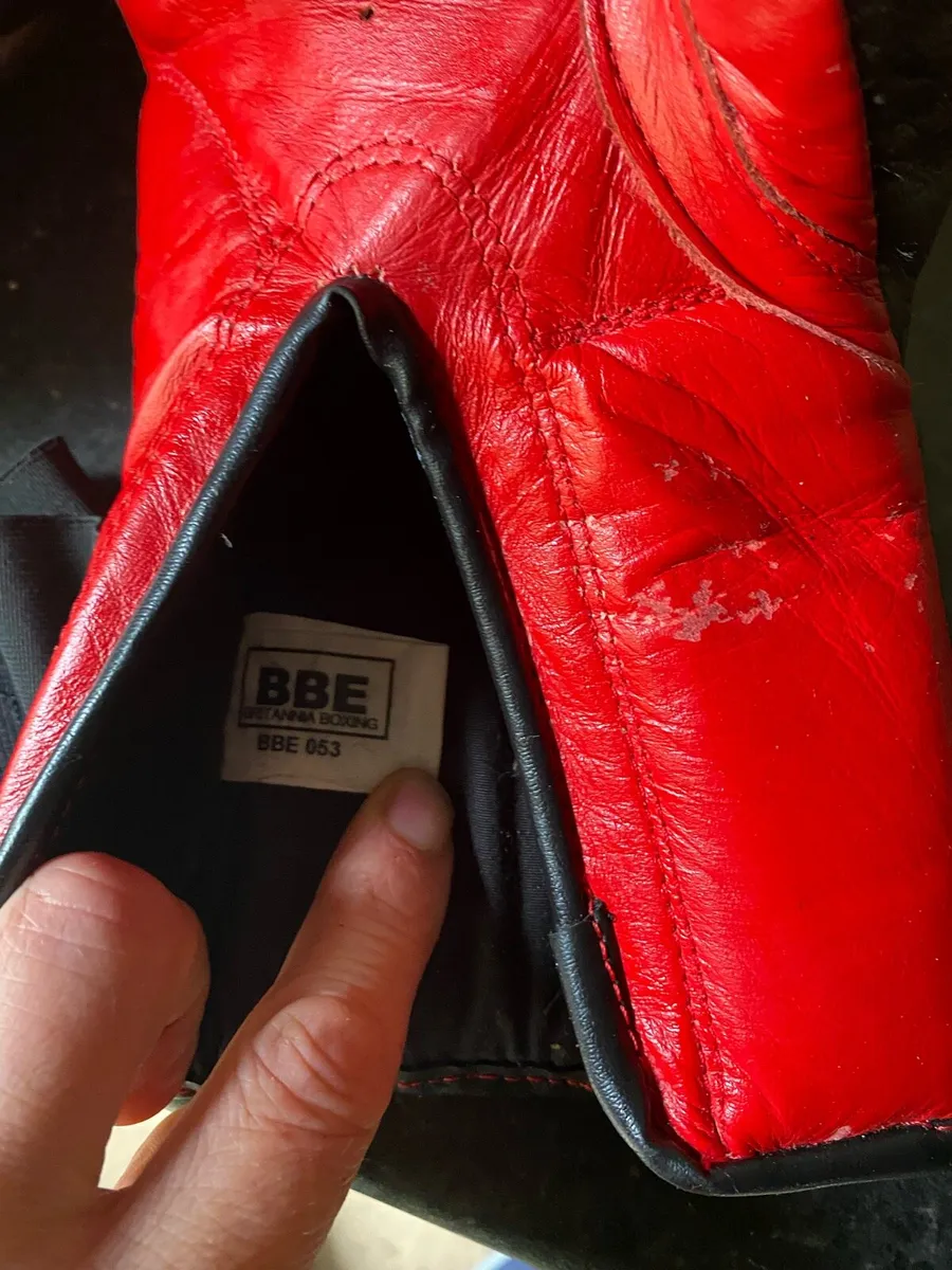 Boxing gloves and pads - Image 3