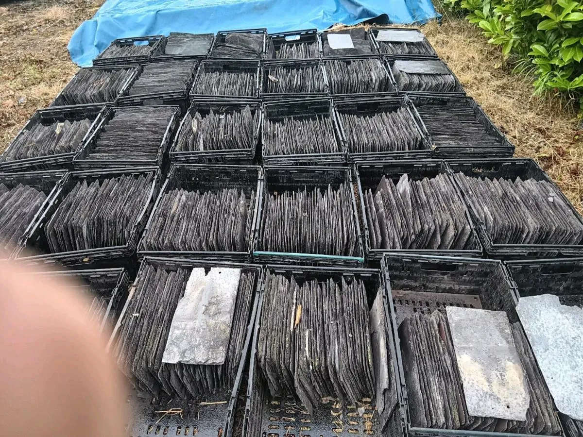 Blue banger slates - Image 1