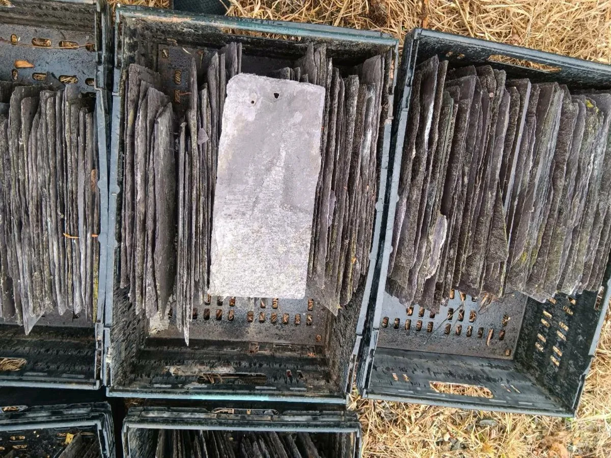 Blue banger slates - Image 2