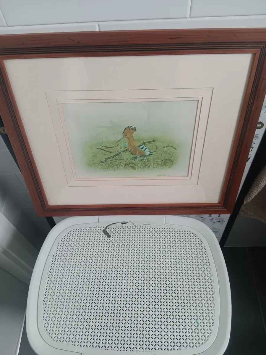 Bird print