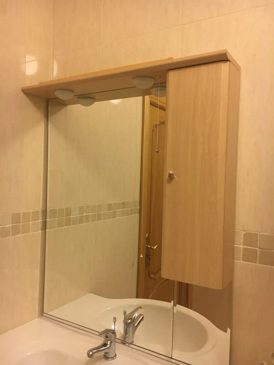 Vanity Mirror - Bathroom - Image 1