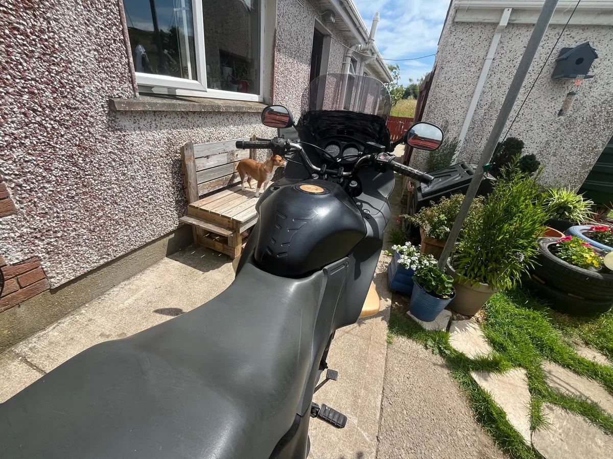 2001 Honda Deauville 650 - Image 2