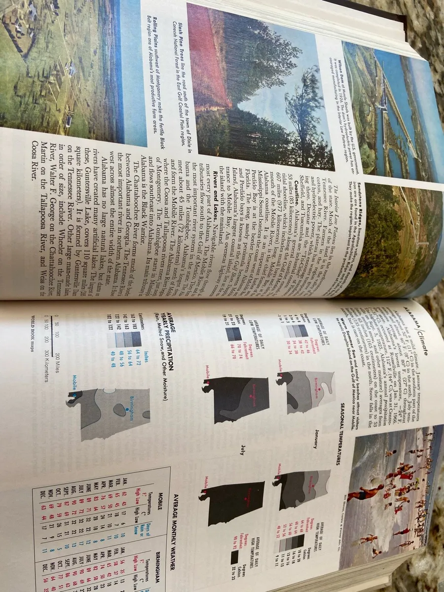 World Book Encyclopaedias- complete collection - Image 4