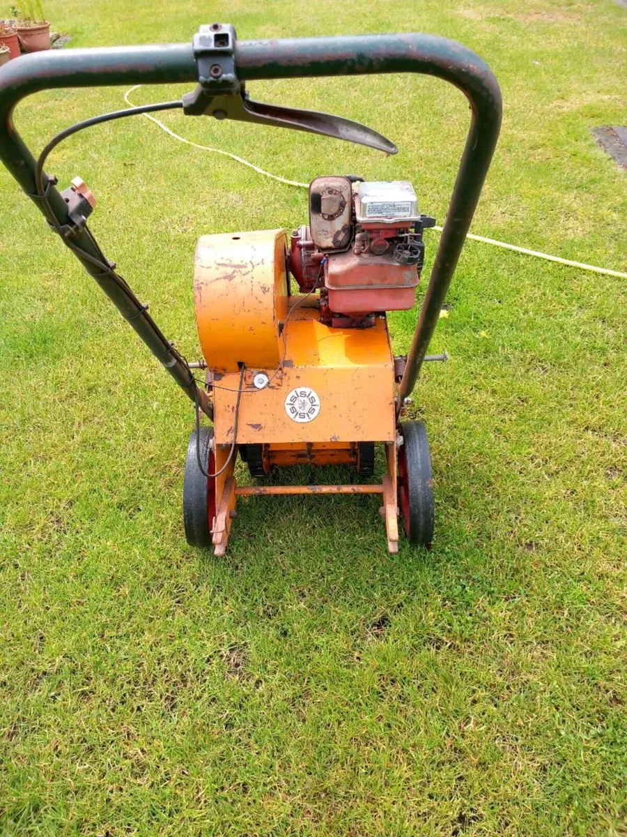 SISIS AUTO GREENMAN - Image 4