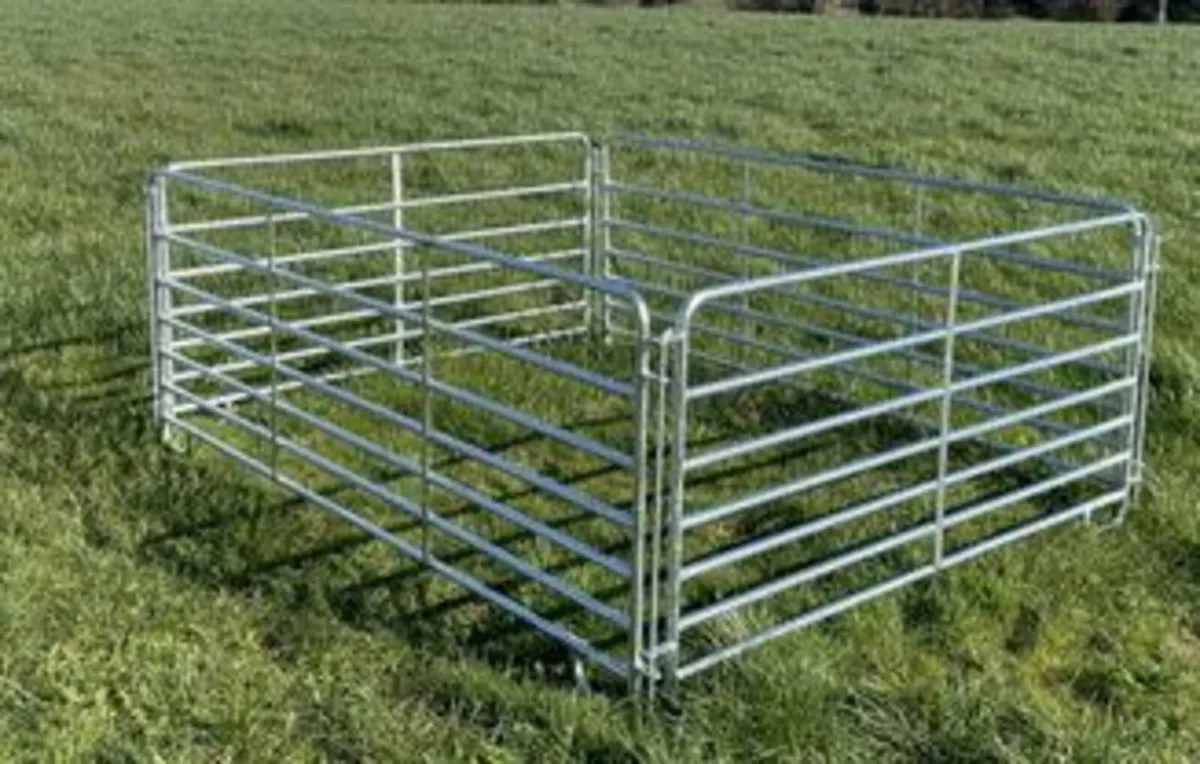 Sleigh Style Hurdle - Image 2