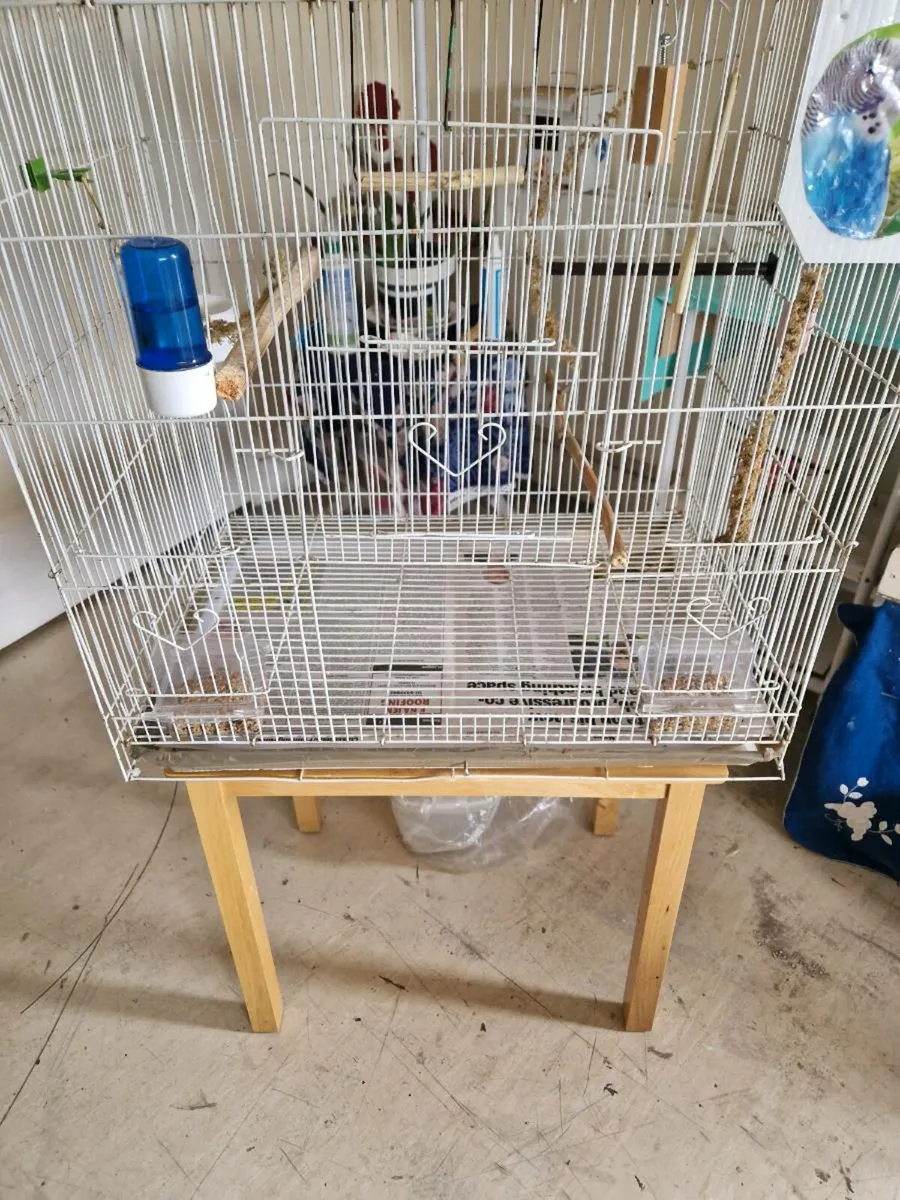Bird  and cage. - Image 1