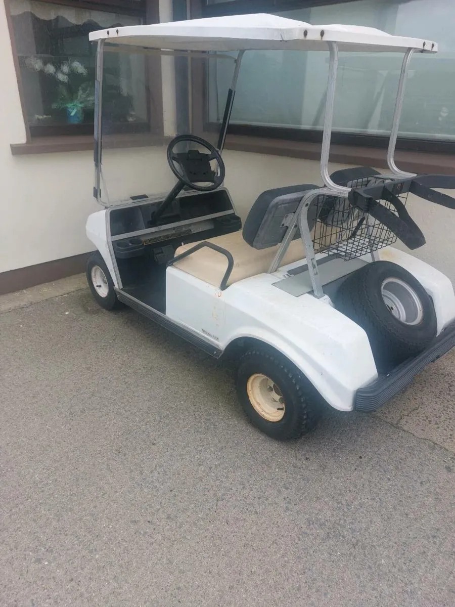 Golf buggie - Image 2