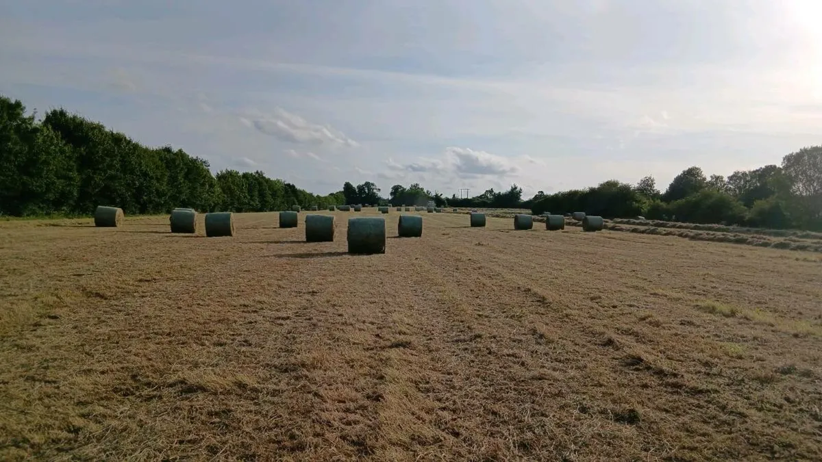 Farming