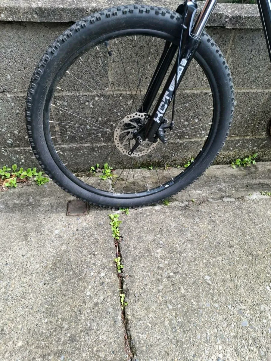 Carrera vengeance - Image 4