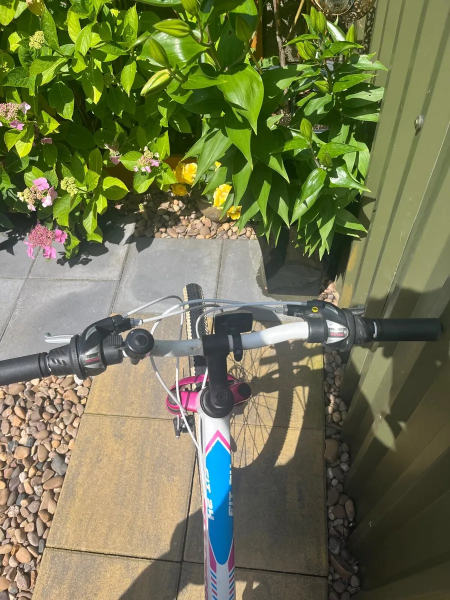 Bicycle - Image 2
