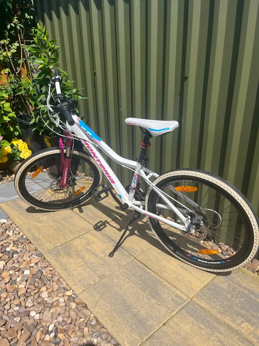 Bicycle - Image 3
