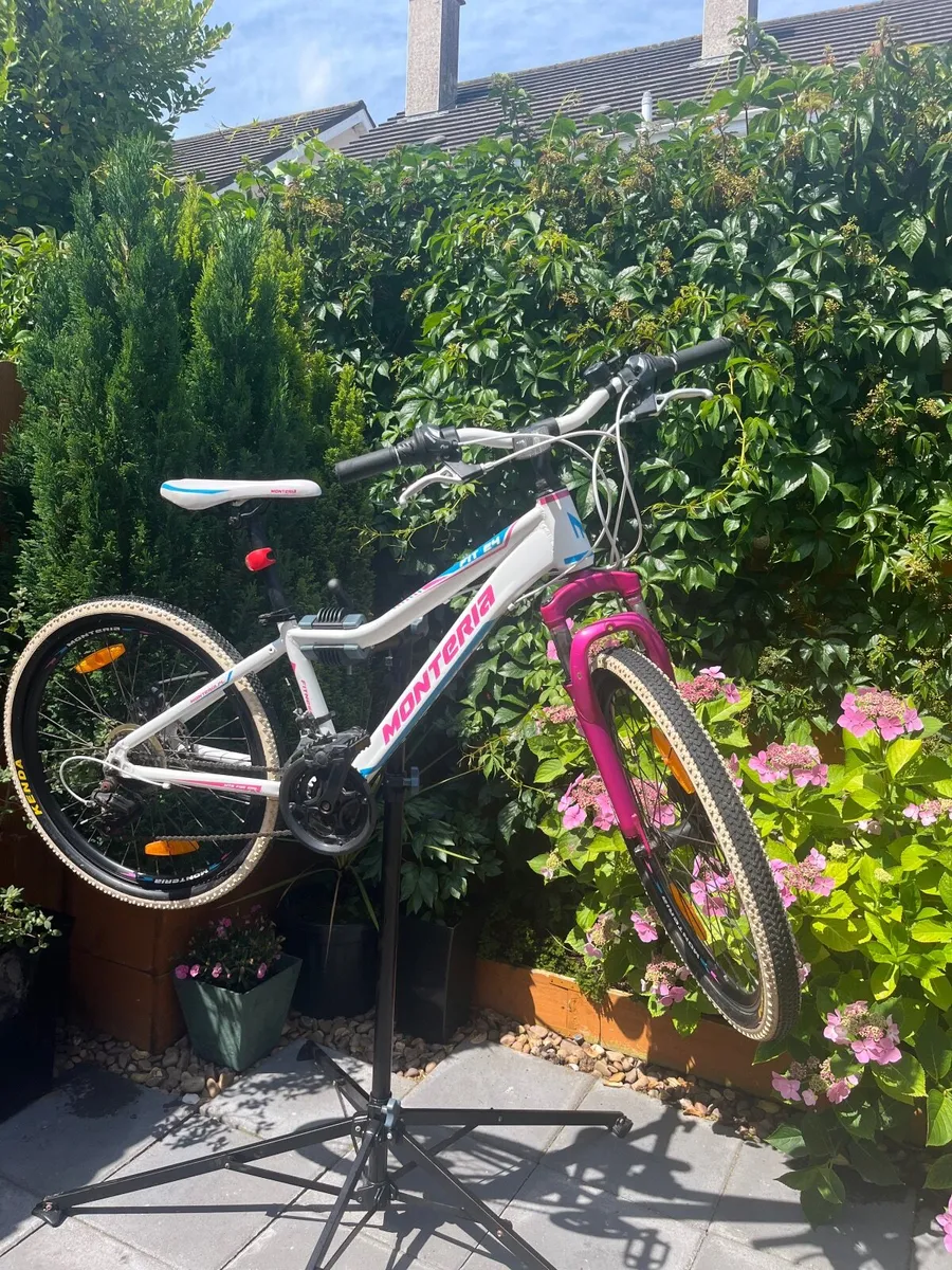 Bicycle - Image 1