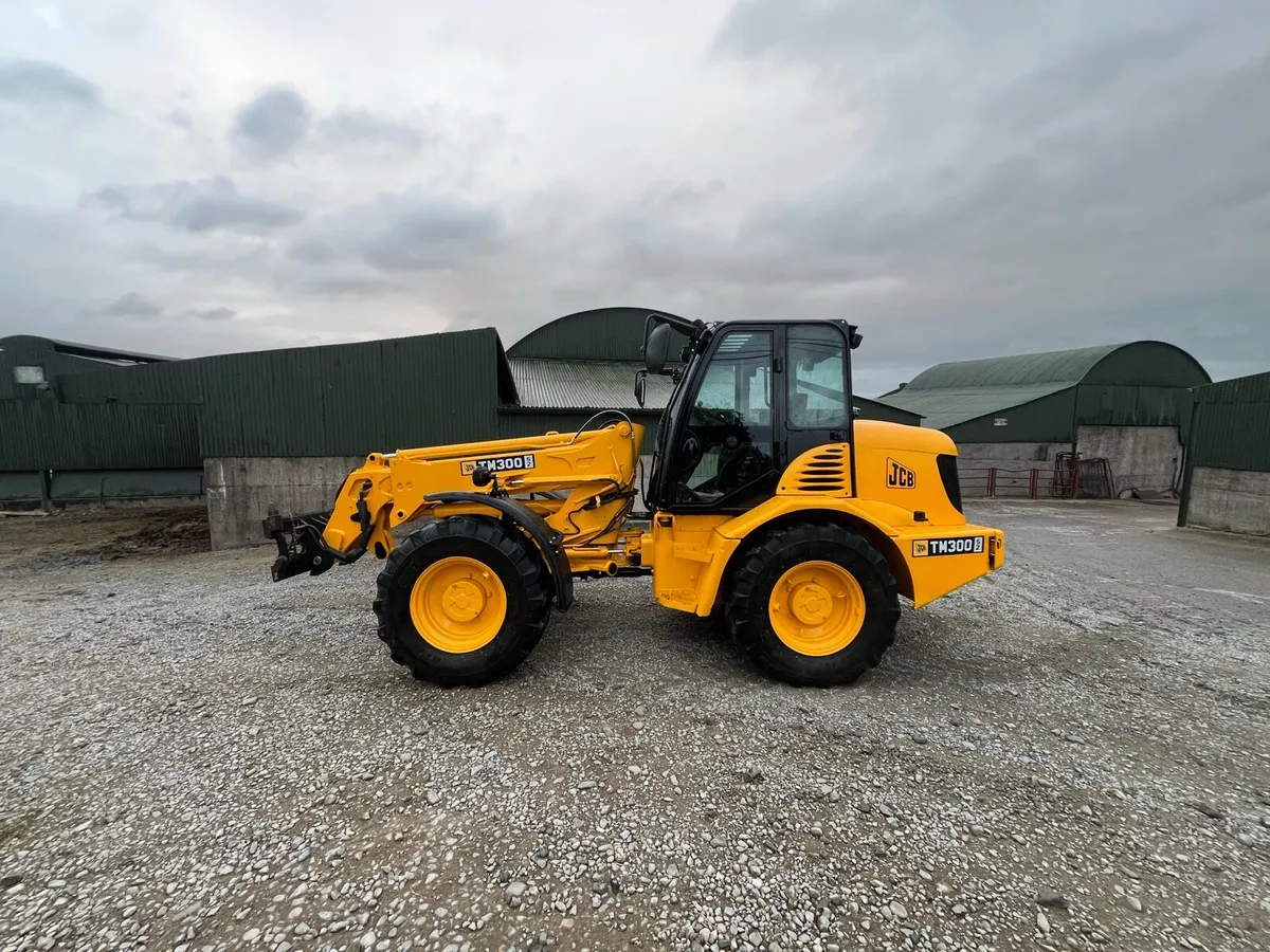 JCB TM300 - Image 1