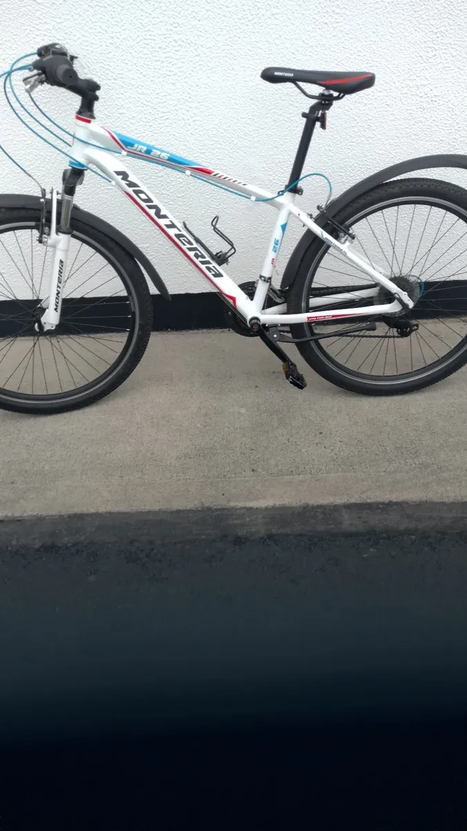 Mountain bike - Image 1