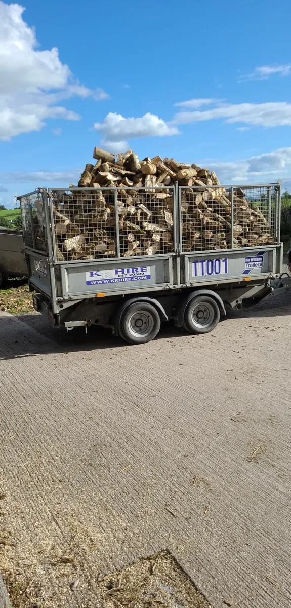 Ash Firewood - Image 1