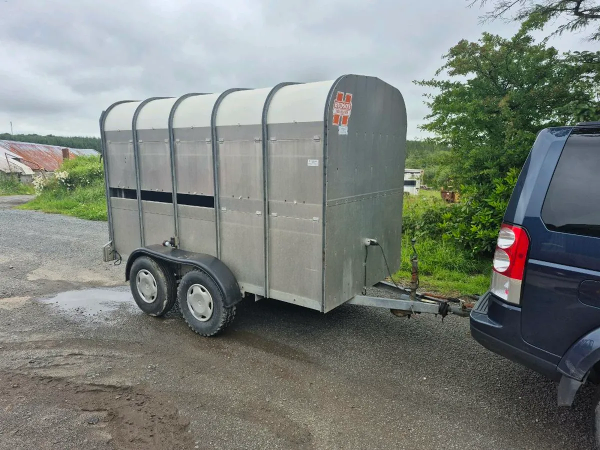 Hudson 10x5 cattle  sheep trailer - Image 3