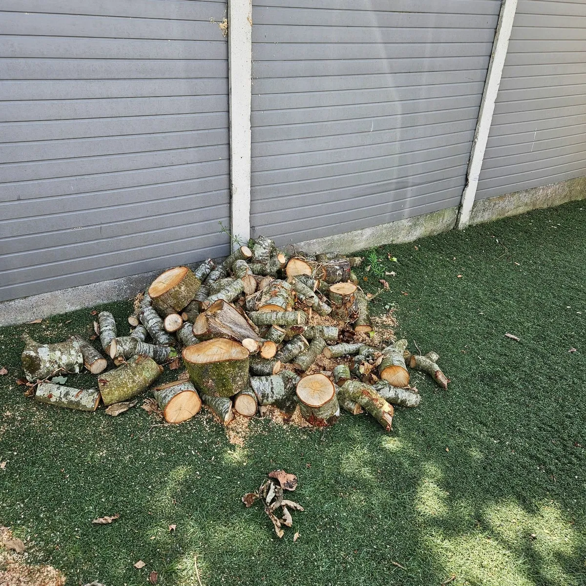 Solid oak logs FREE TO TAKE AWAY - Image 3