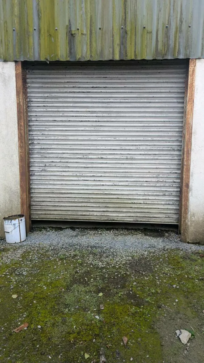Shed door