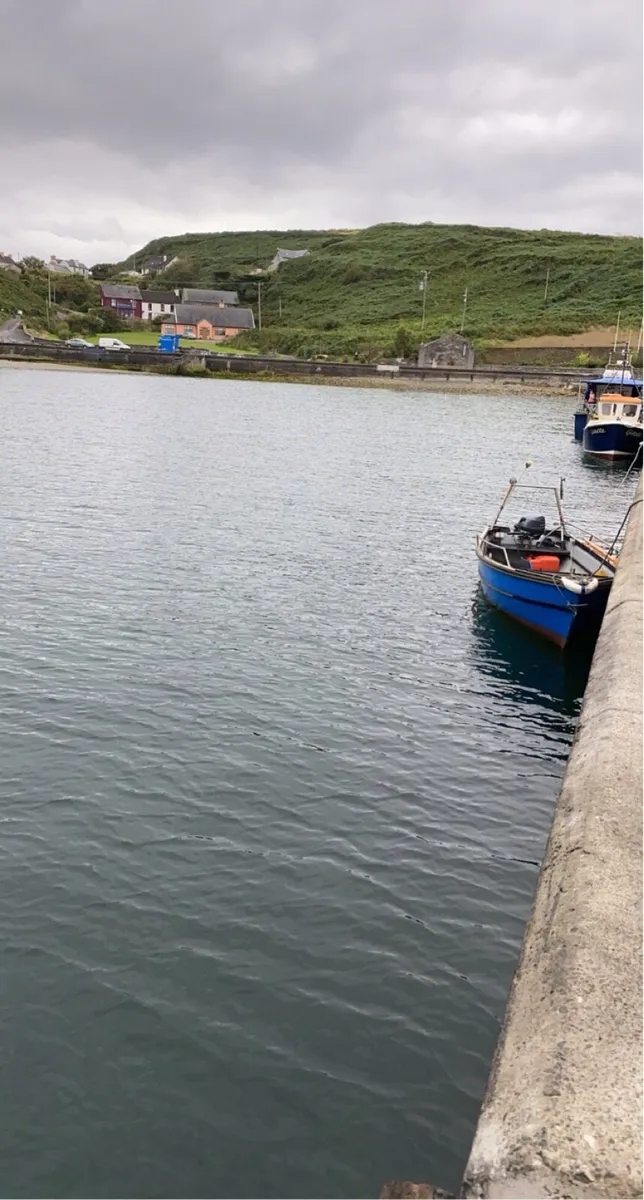 17 foot punt - Image 2