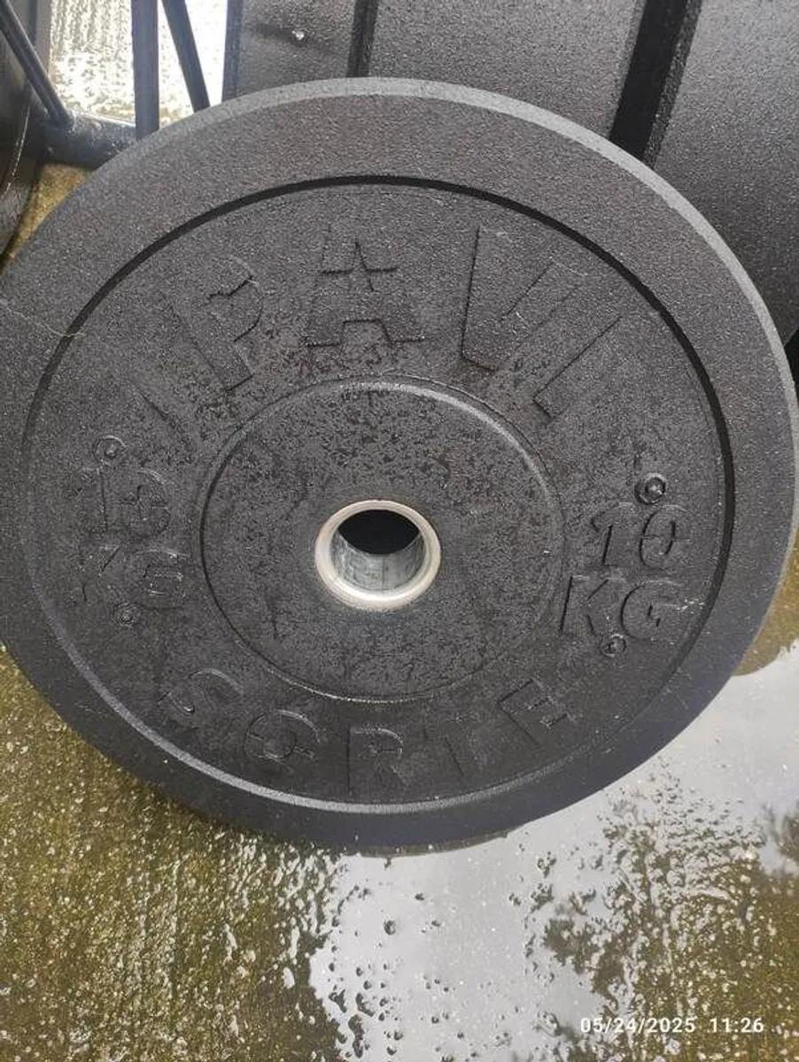 Bumper Plates  Olympic Pavi 100kg - Image 1