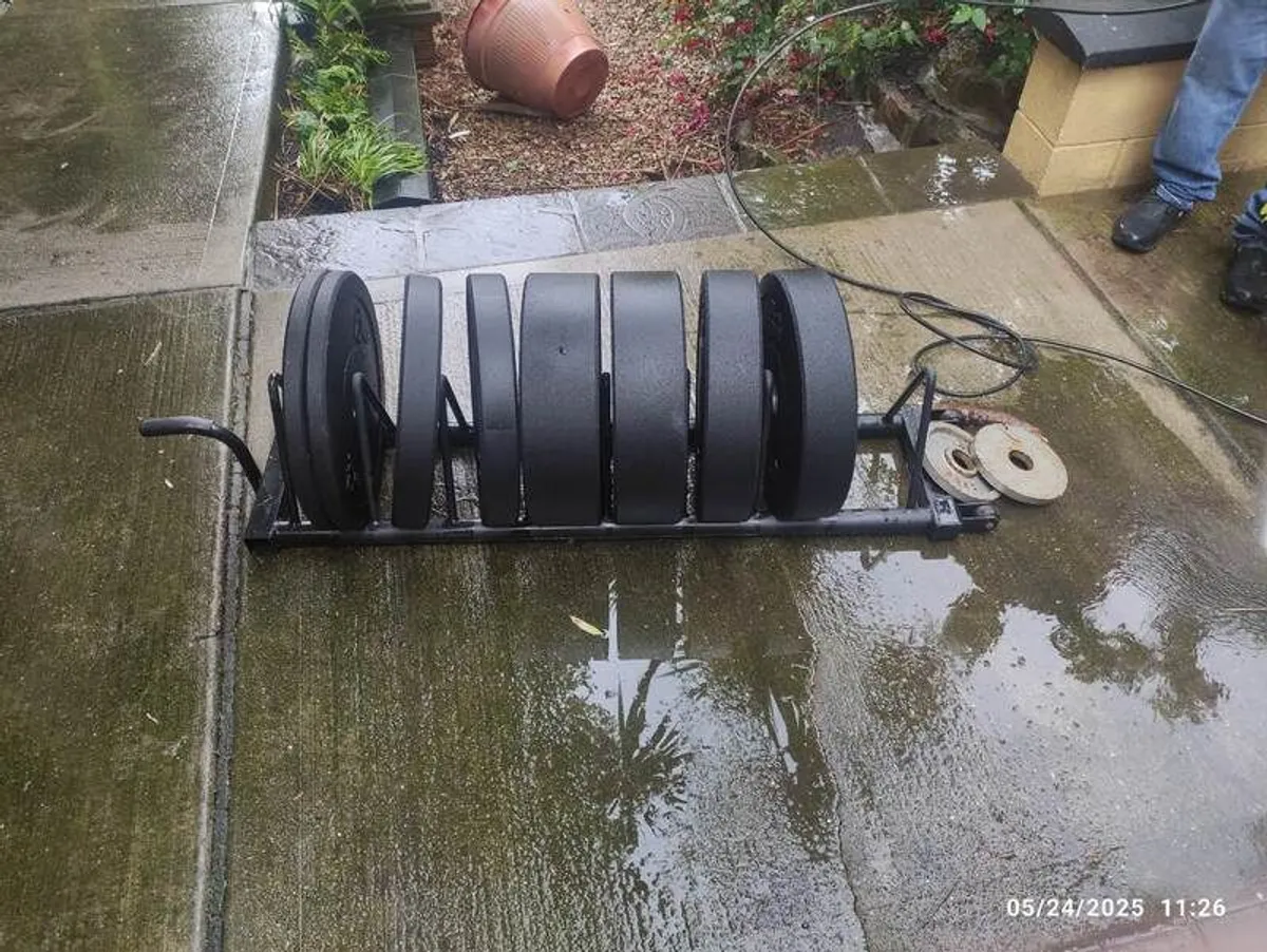 Bumper Plates  Olympic Pavi 100kg - Image 2