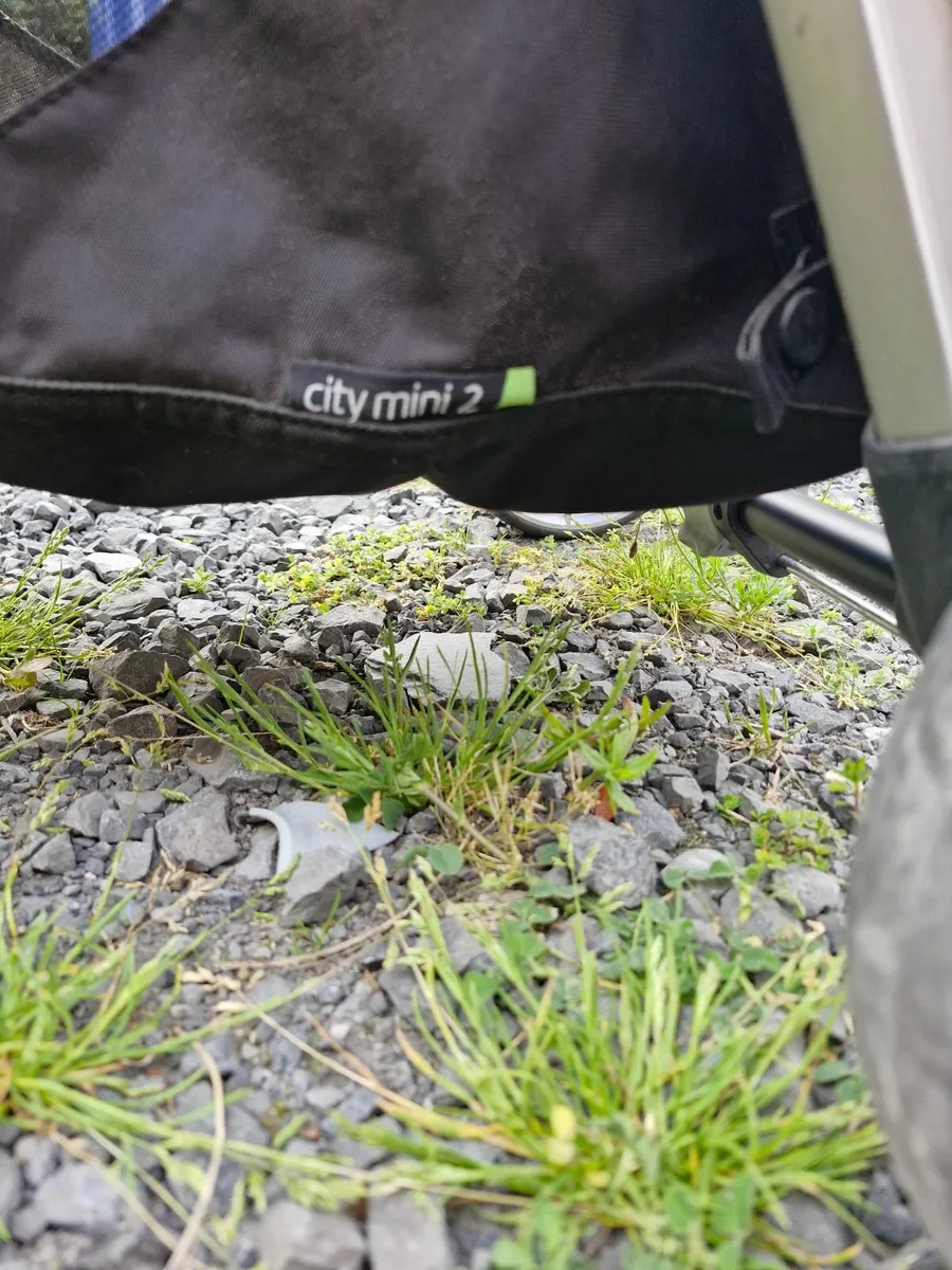 Buggy - Image 1