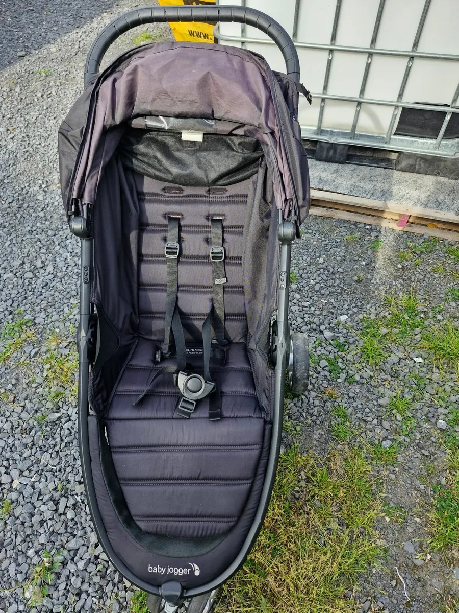 Buggy - Image 4