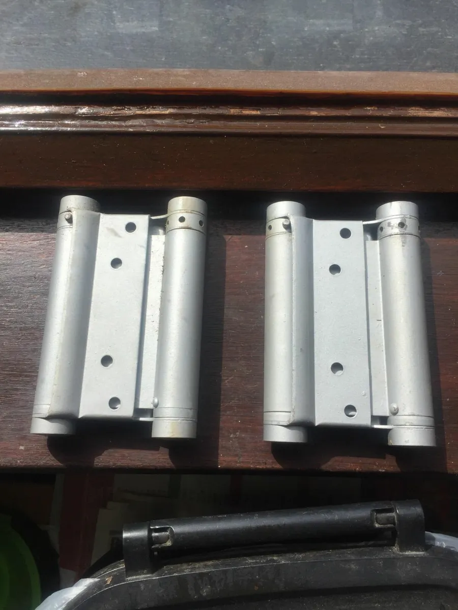 Double action swing hinges - Image 1