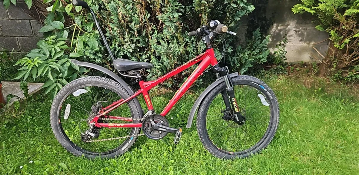 Bicycle Carrera - Image 1