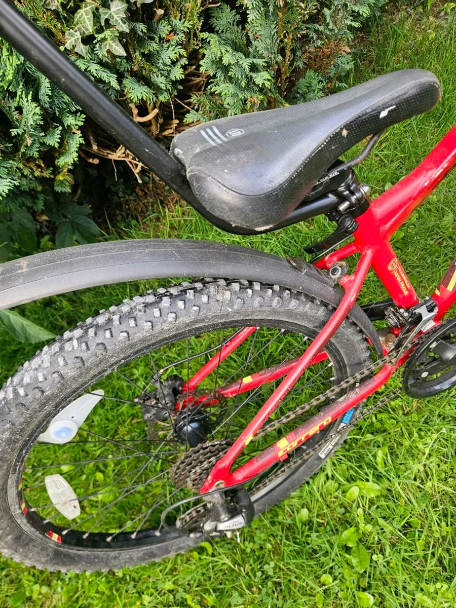 Bicycle Carrera - Image 4