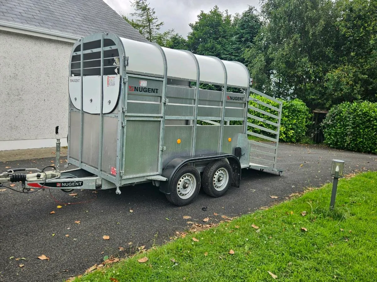 Nugent 8x5 trailer - Image 1