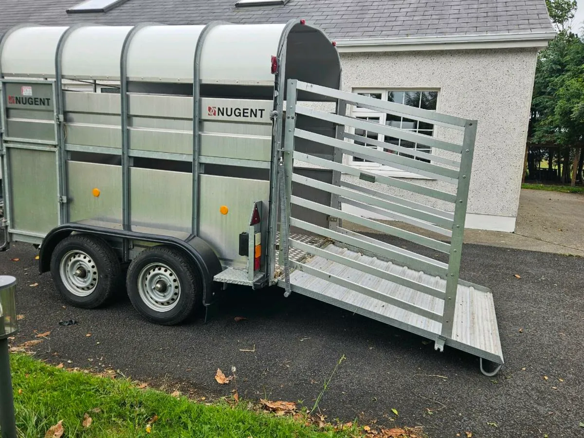 Nugent 8x5 trailer - Image 2