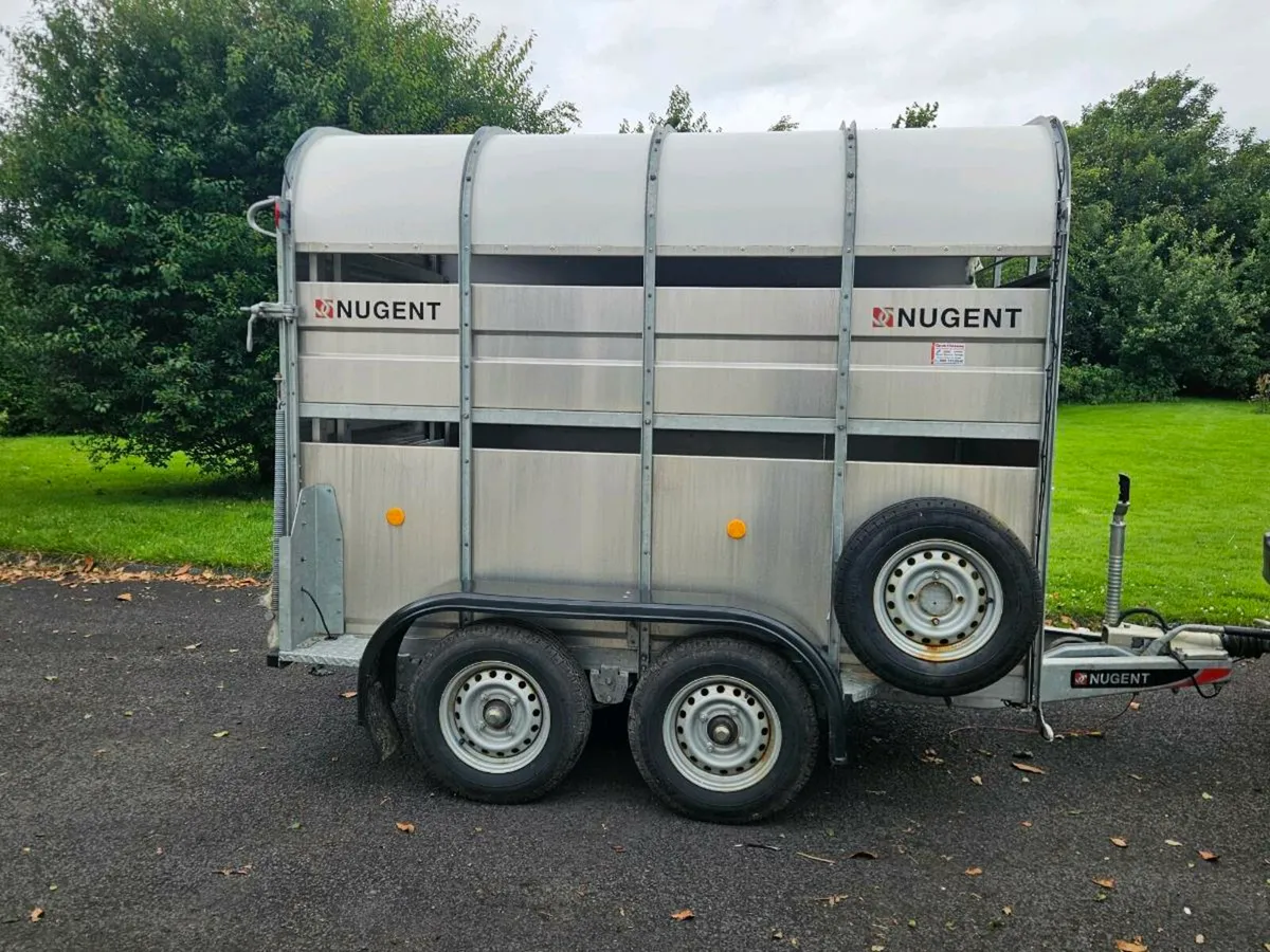 Nugent 8x5 trailer - Image 3