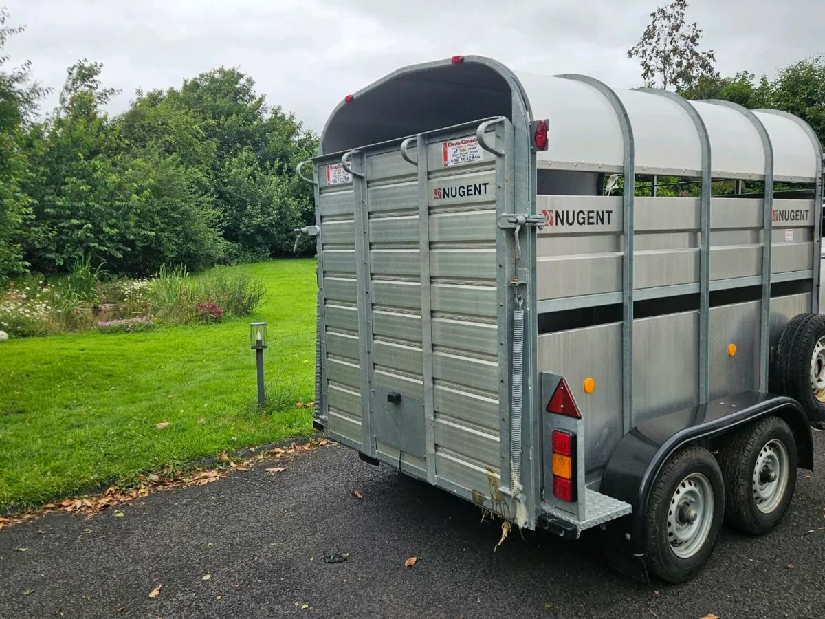 Nugent 8x5 trailer - Image 4
