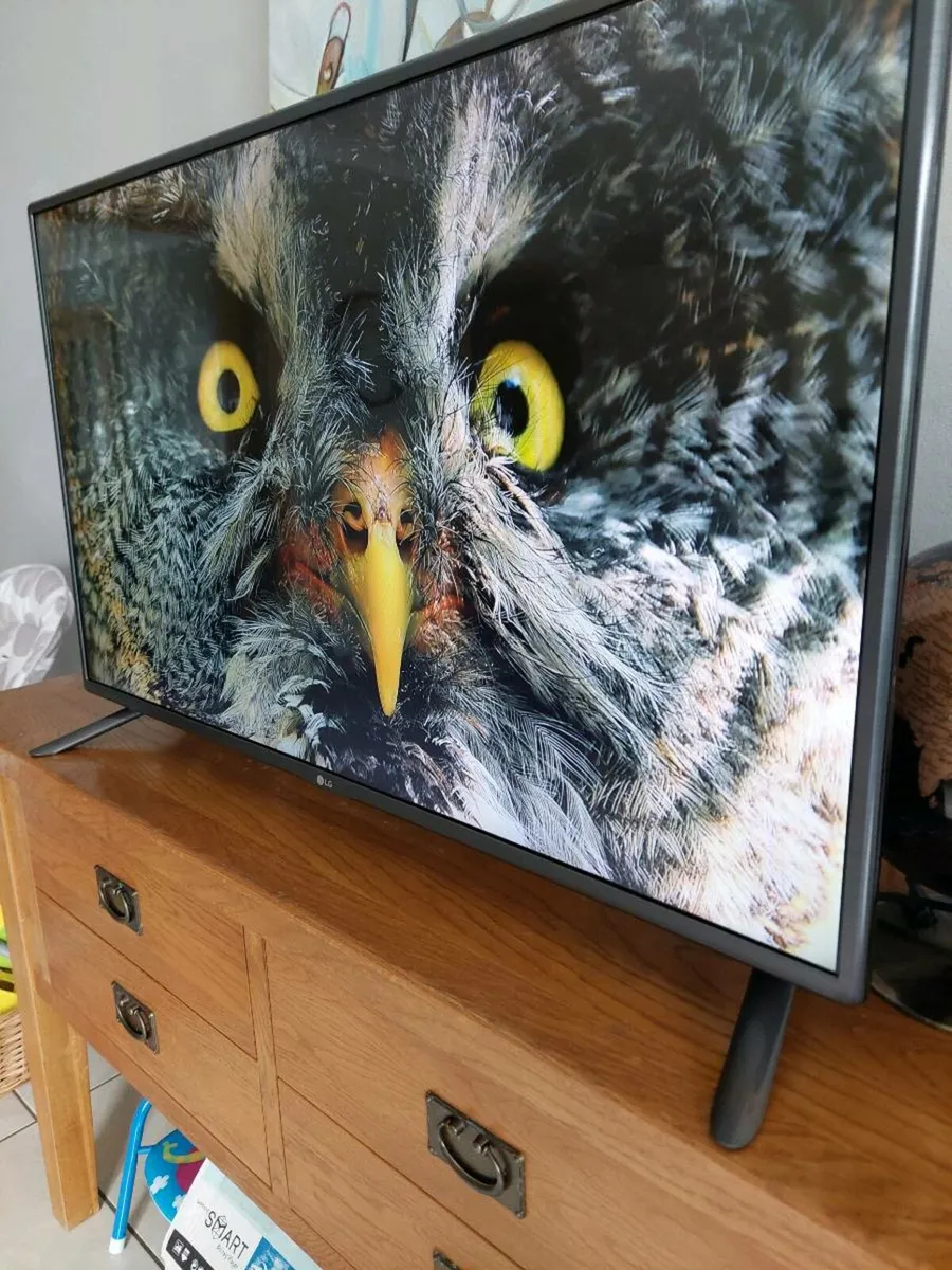 LG 43 inch Smart Tv. - Image 1