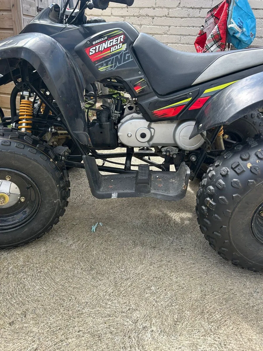 QUADZILLA STINGER 100CC - Image 3
