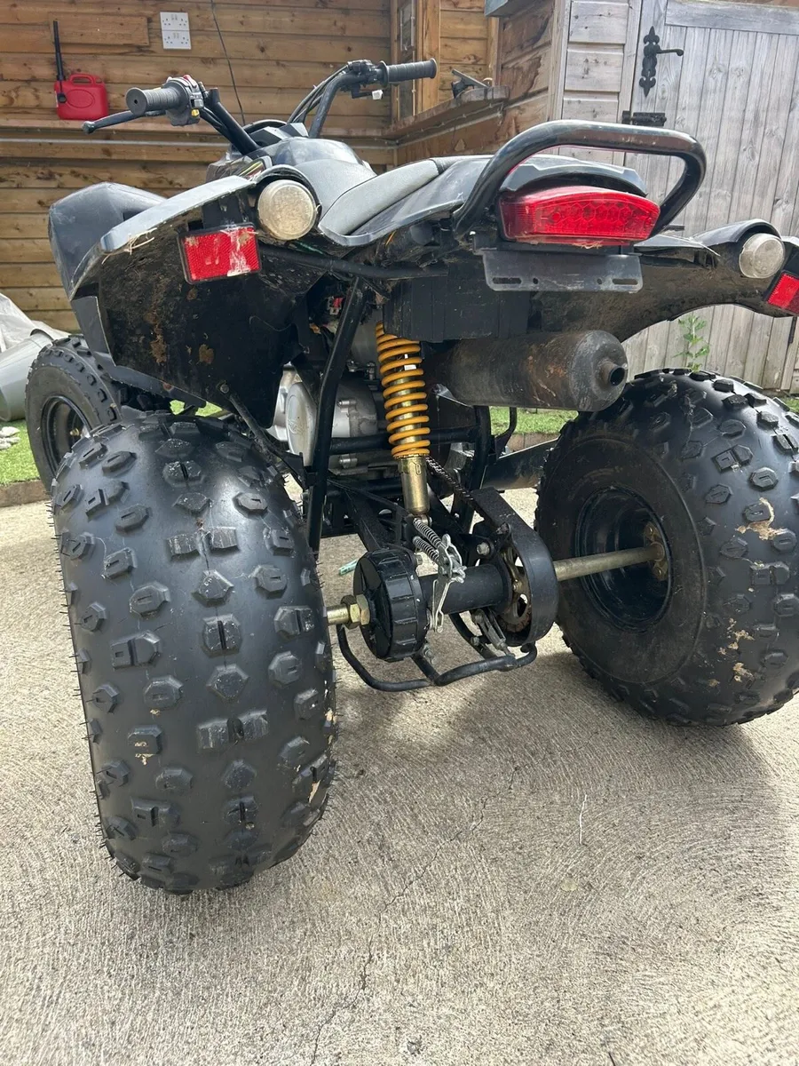 QUADZILLA STINGER 100CC - Image 4