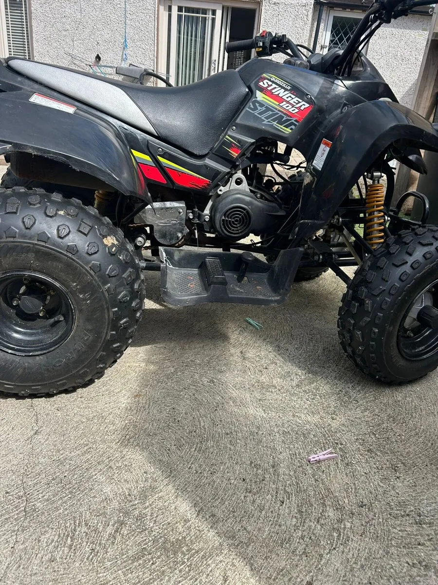 QUADZILLA STINGER 100CC - Image 2