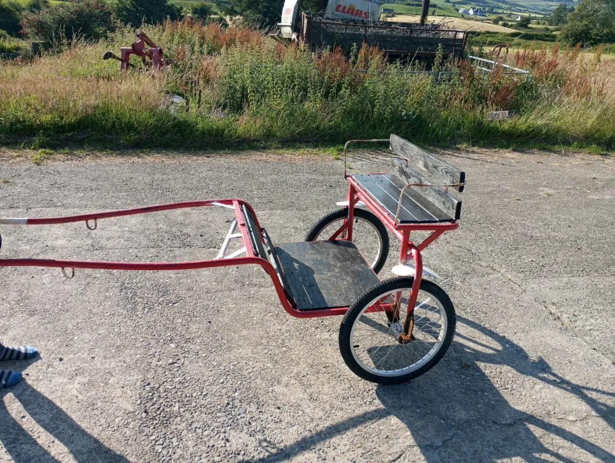 Miniature pony cart - Image 1
