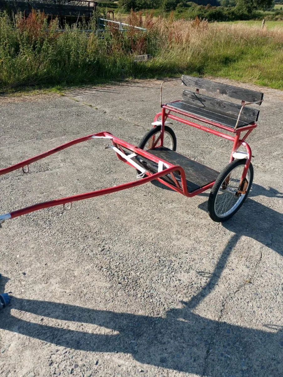 Miniature pony cart - Image 2