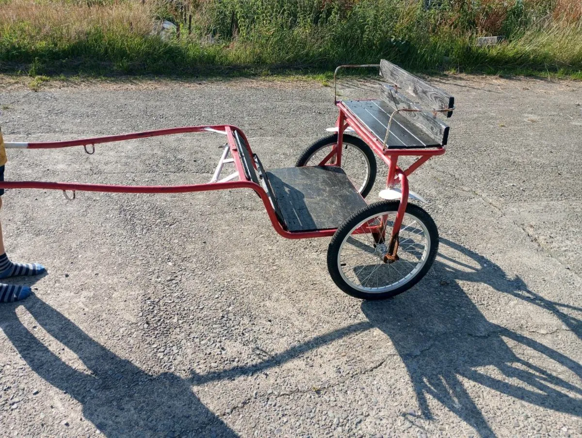 Miniature pony cart - Image 3