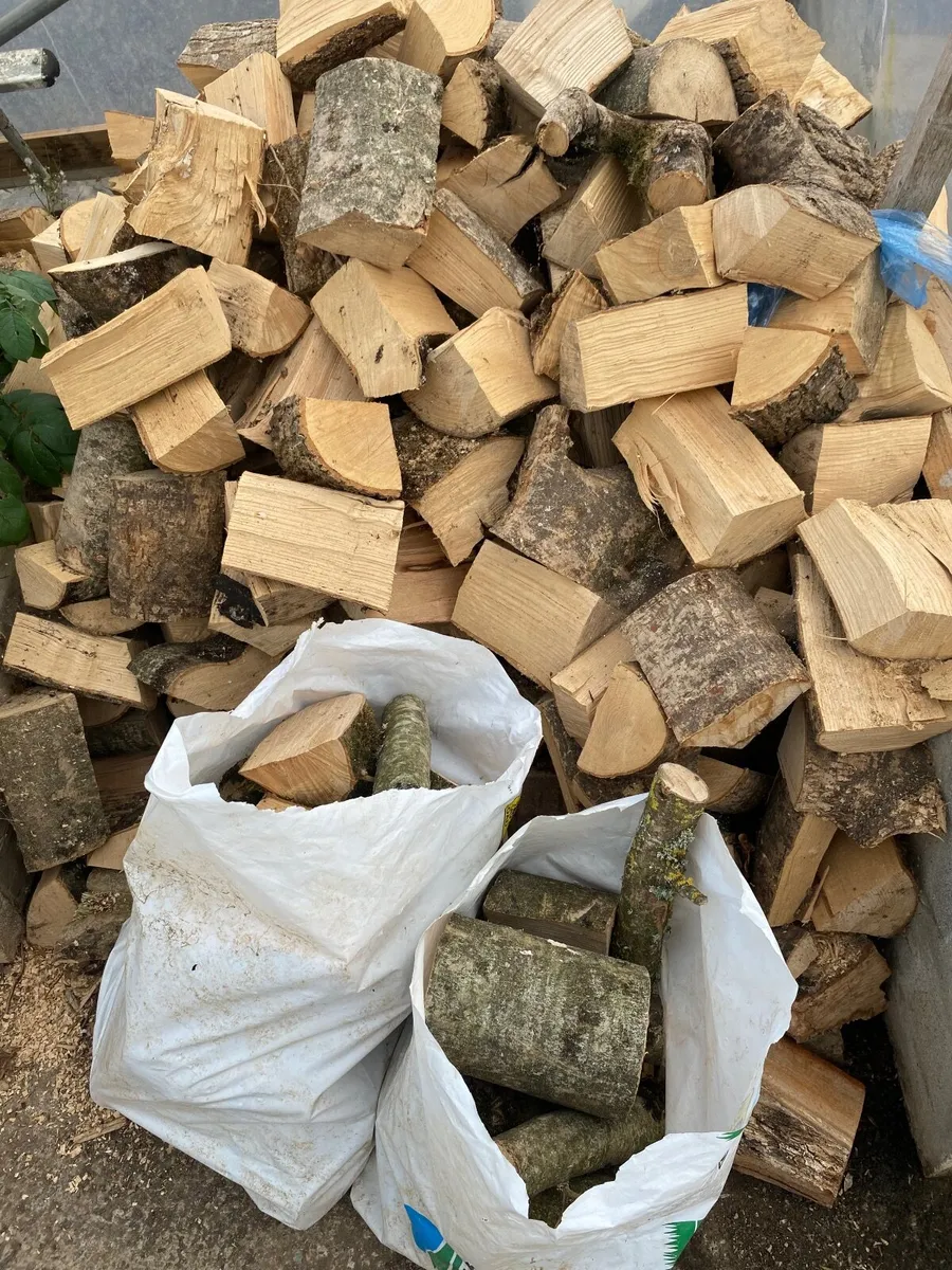 Firewood - Image 3