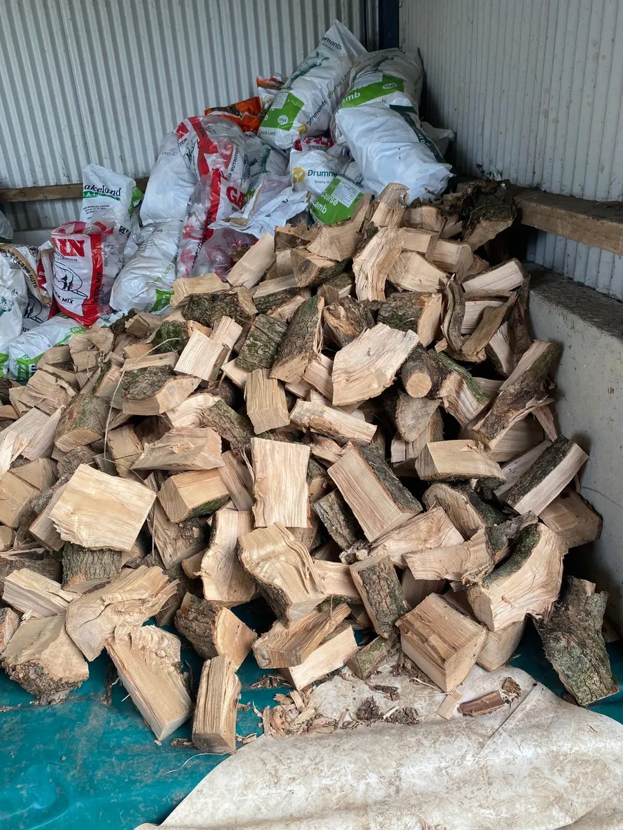 Firewood - Image 4