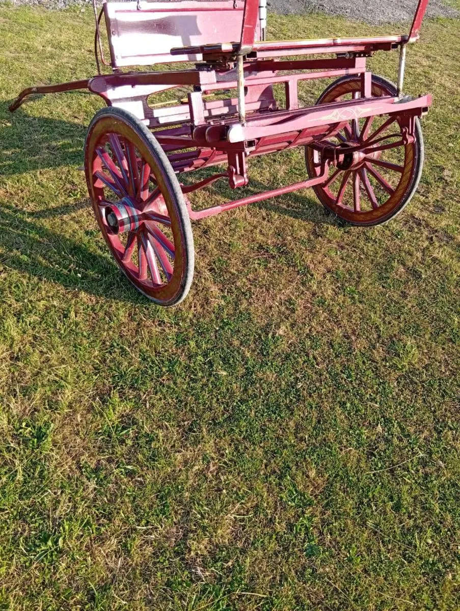 Jaunting car - Image 1